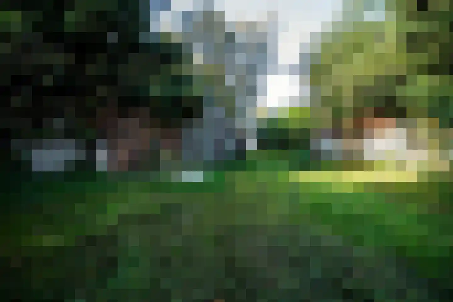2e Dalweg 10 Vriescheloo thumbnail 20