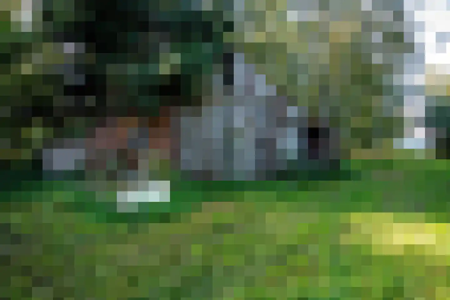 2e Dalweg 10 Vriescheloo thumbnail 21