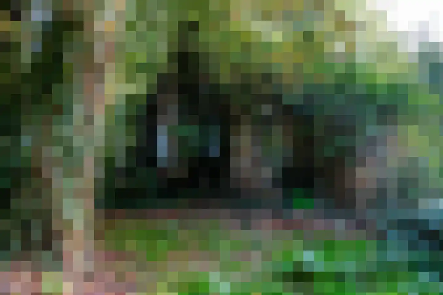 2e Dalweg 10 Vriescheloo thumbnail 22