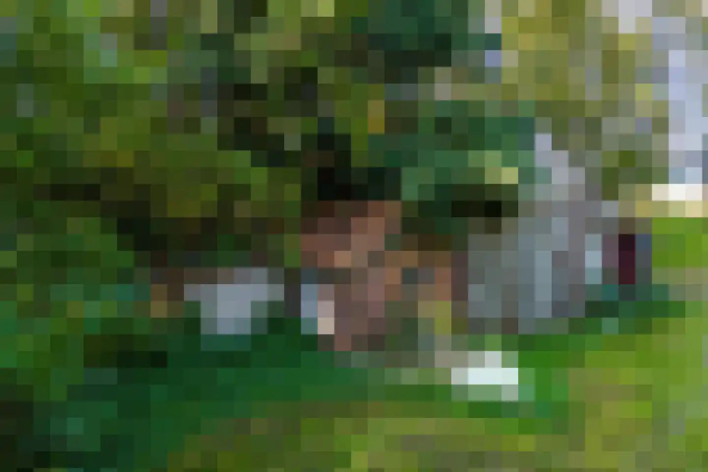 2e Dalweg 10 Vriescheloo thumbnail 23