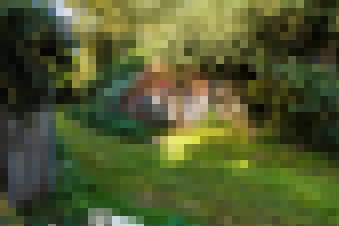 2e Dalweg 10 Vriescheloo thumbnail 24