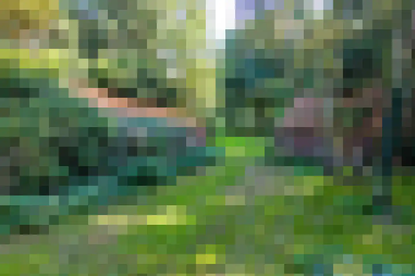 2e Dalweg 10 Vriescheloo thumbnail 25