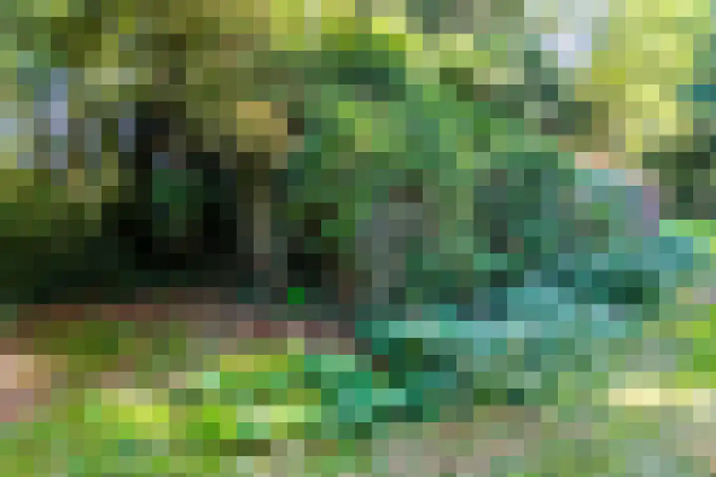 2e Dalweg 10 Vriescheloo thumbnail 26