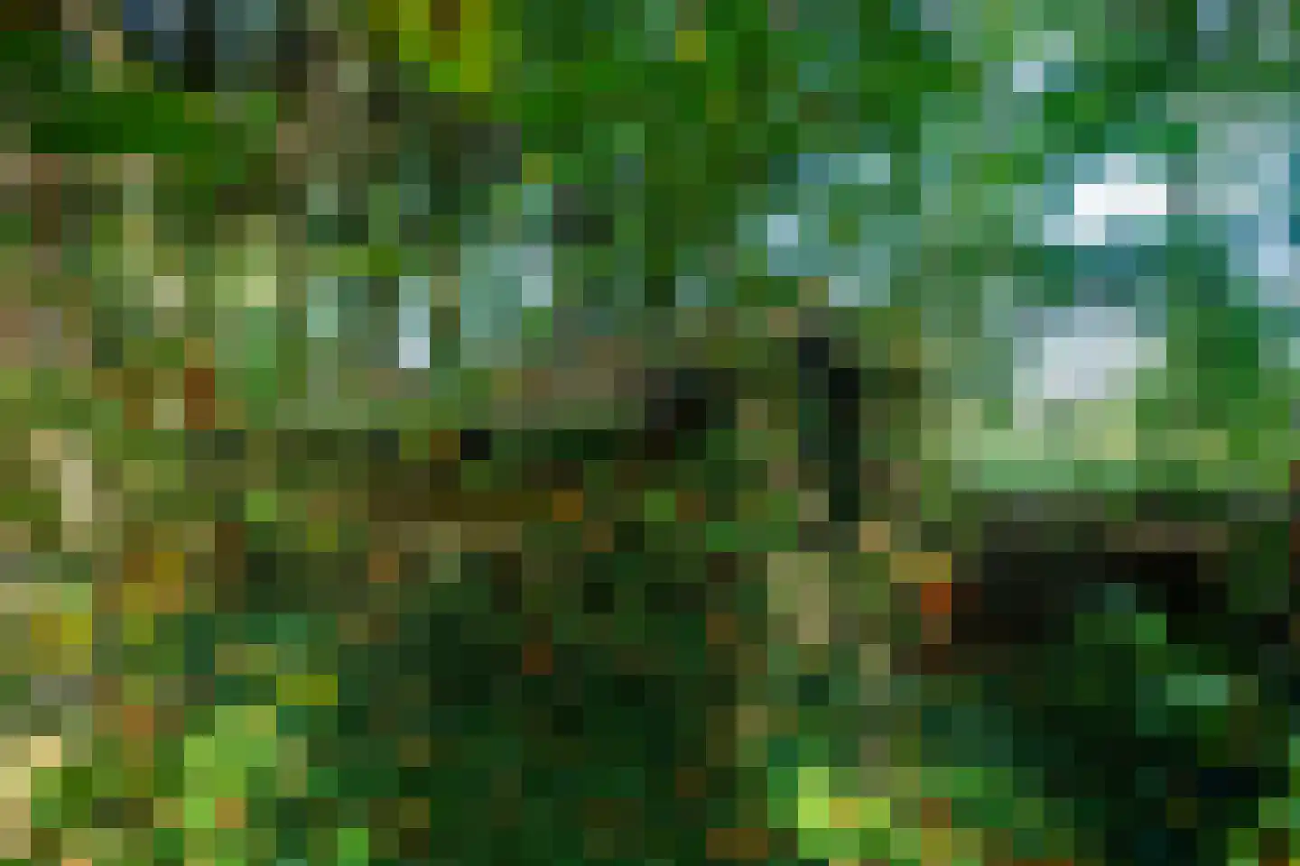 2e Dalweg 10 Vriescheloo thumbnail 27