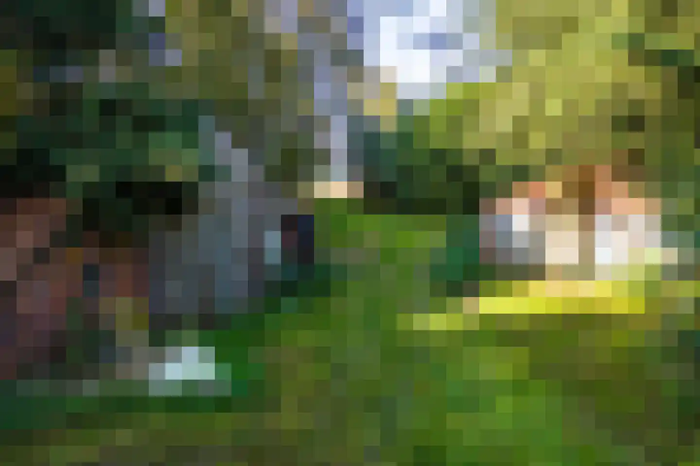 2e Dalweg 10 Vriescheloo thumbnail 28