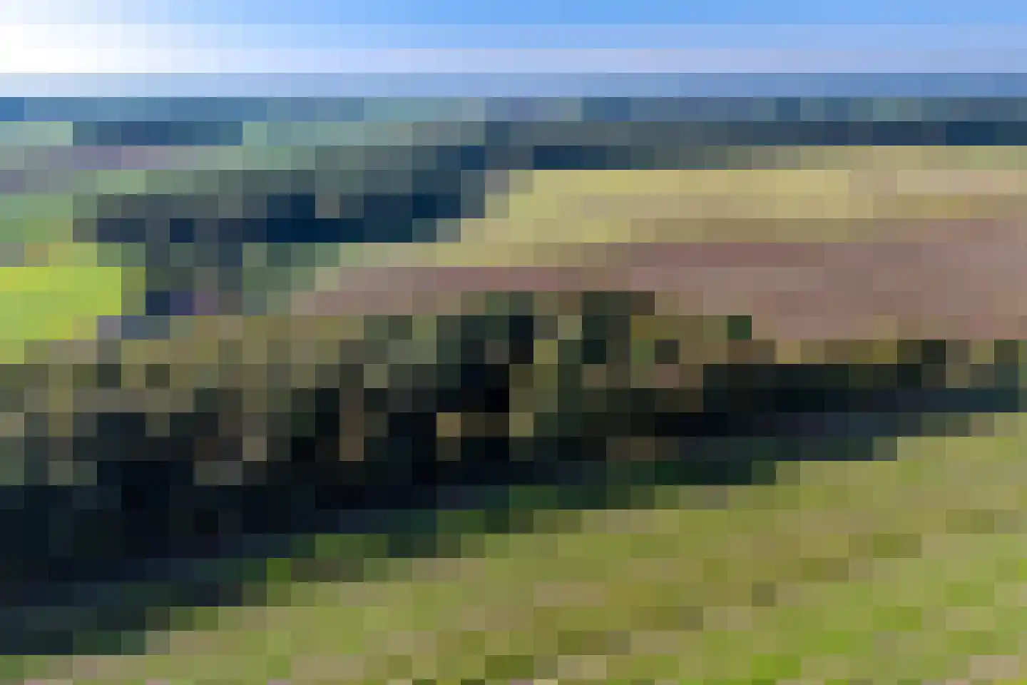 2e Dalweg 10 Vriescheloo thumbnail 29