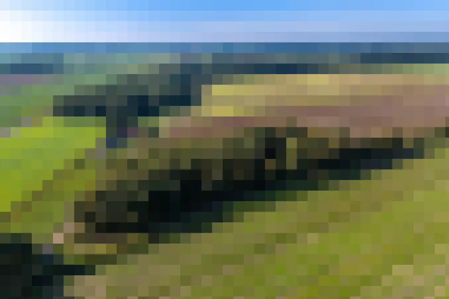 2e Dalweg 10 Vriescheloo thumbnail 30