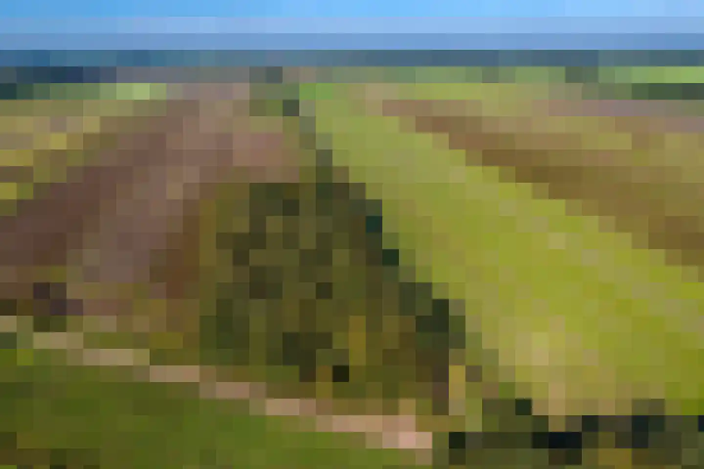2e Dalweg 10 Vriescheloo thumbnail 31