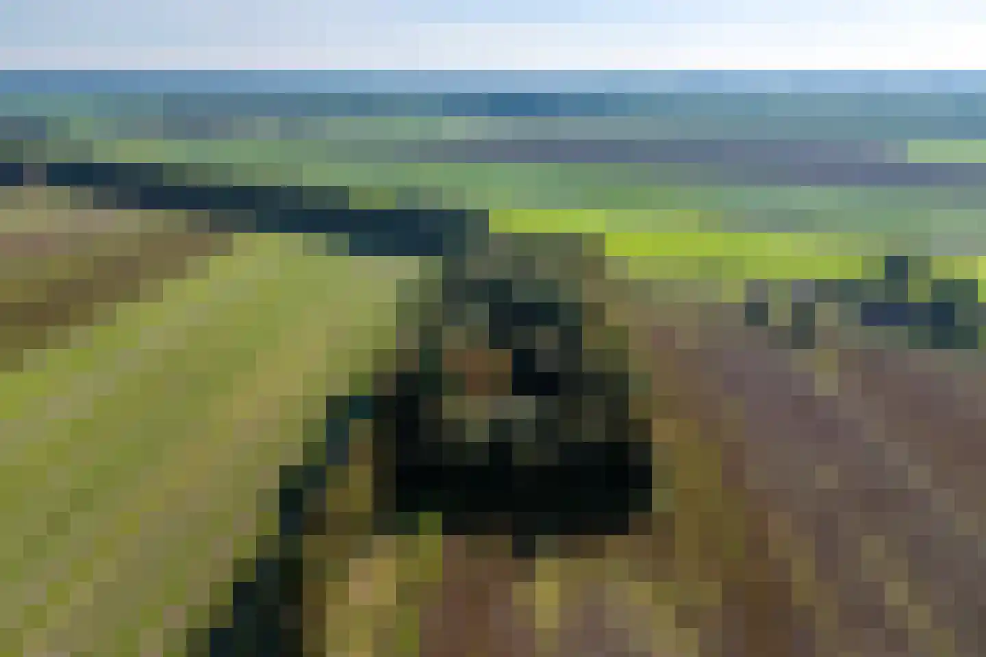 2e Dalweg 10 Vriescheloo thumbnail 32