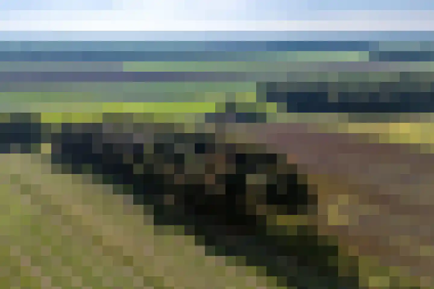 2e Dalweg 10 Vriescheloo thumbnail 33