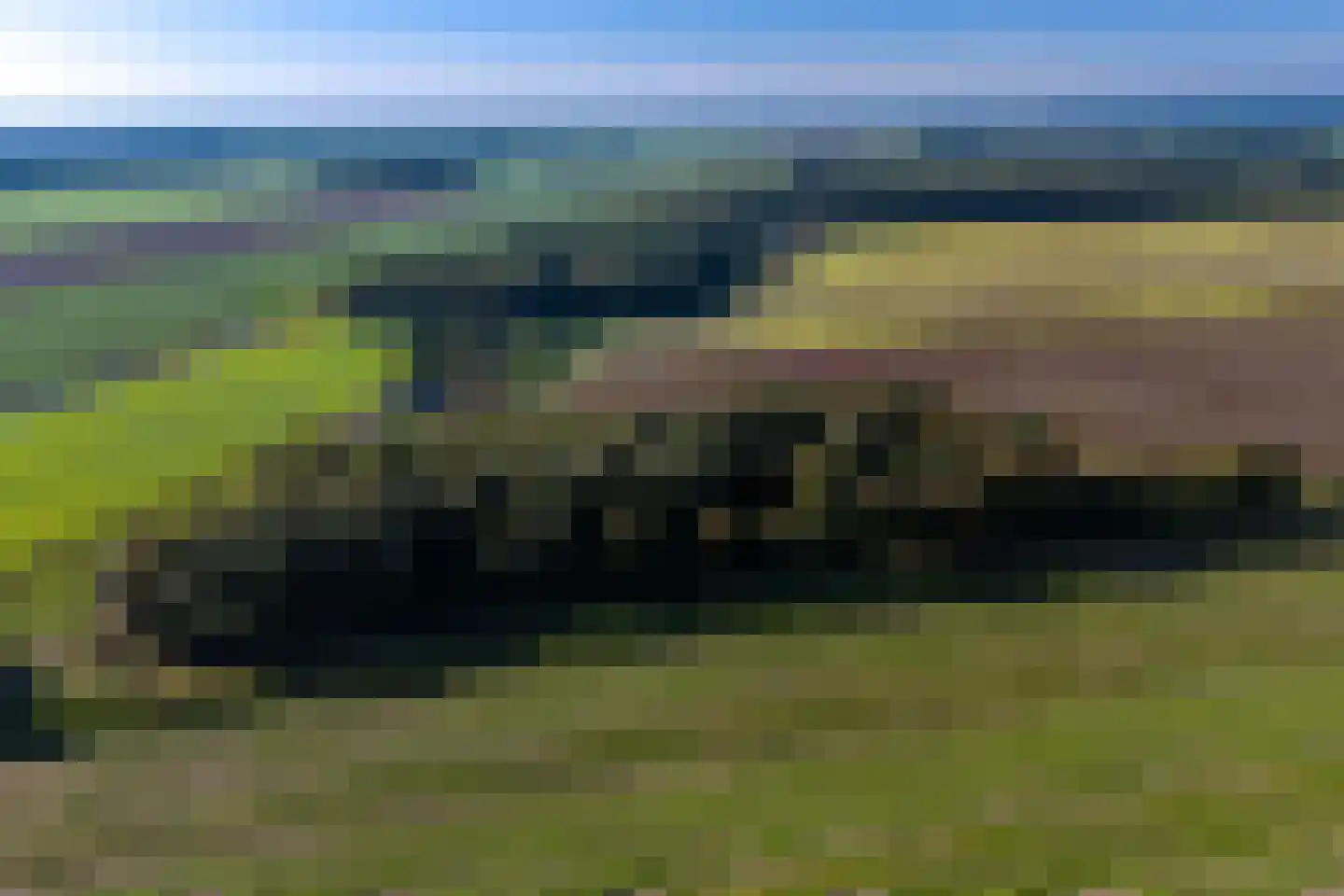 2e Dalweg 10 Vriescheloo thumbnail 34