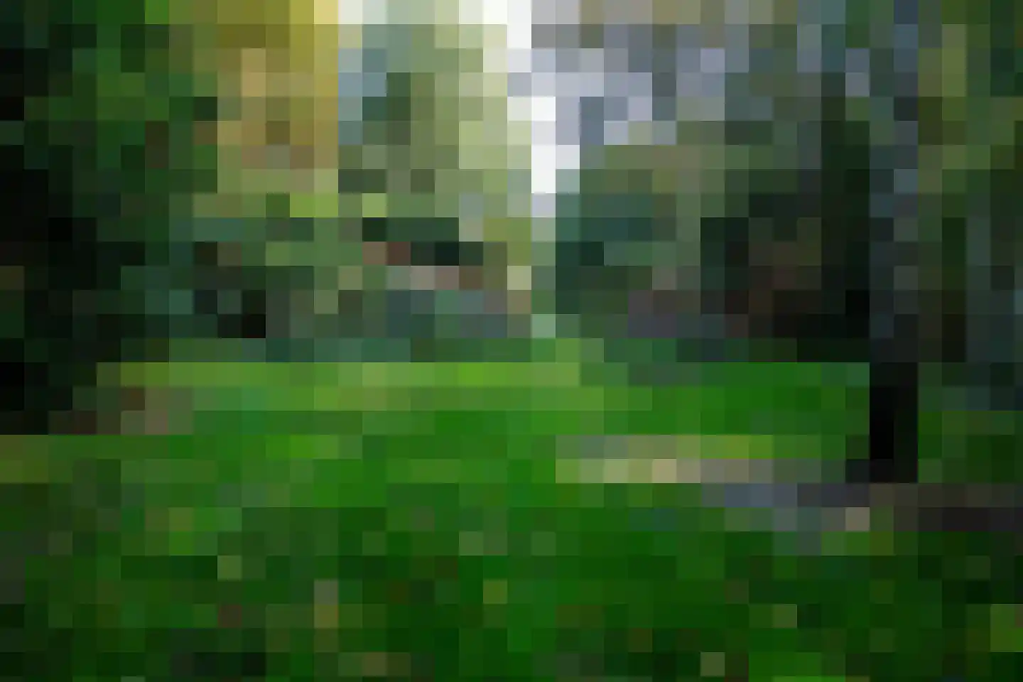 2e Dalweg 10 Vriescheloo thumbnail 4