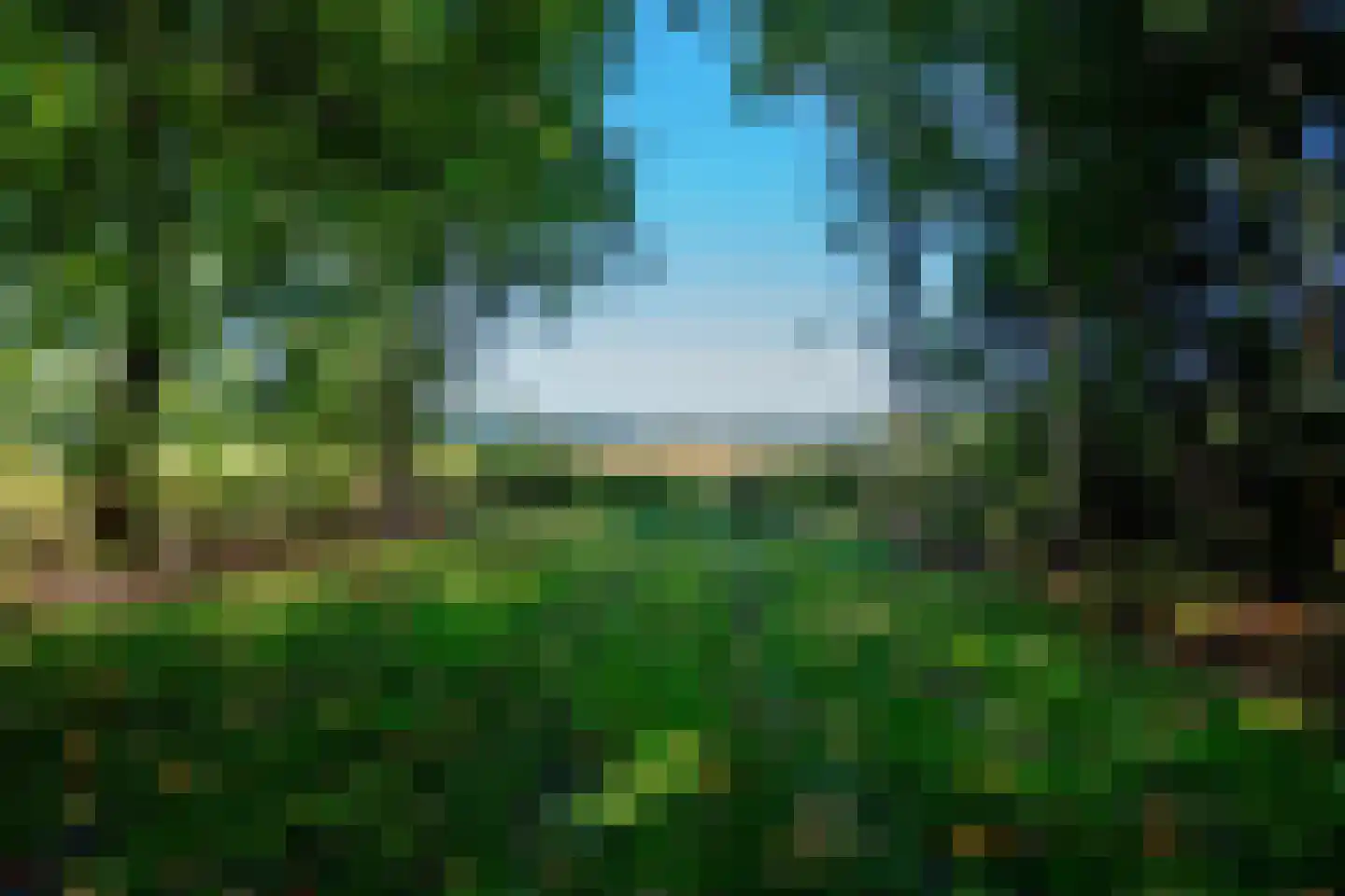 2e Dalweg 10 Vriescheloo thumbnail 5
