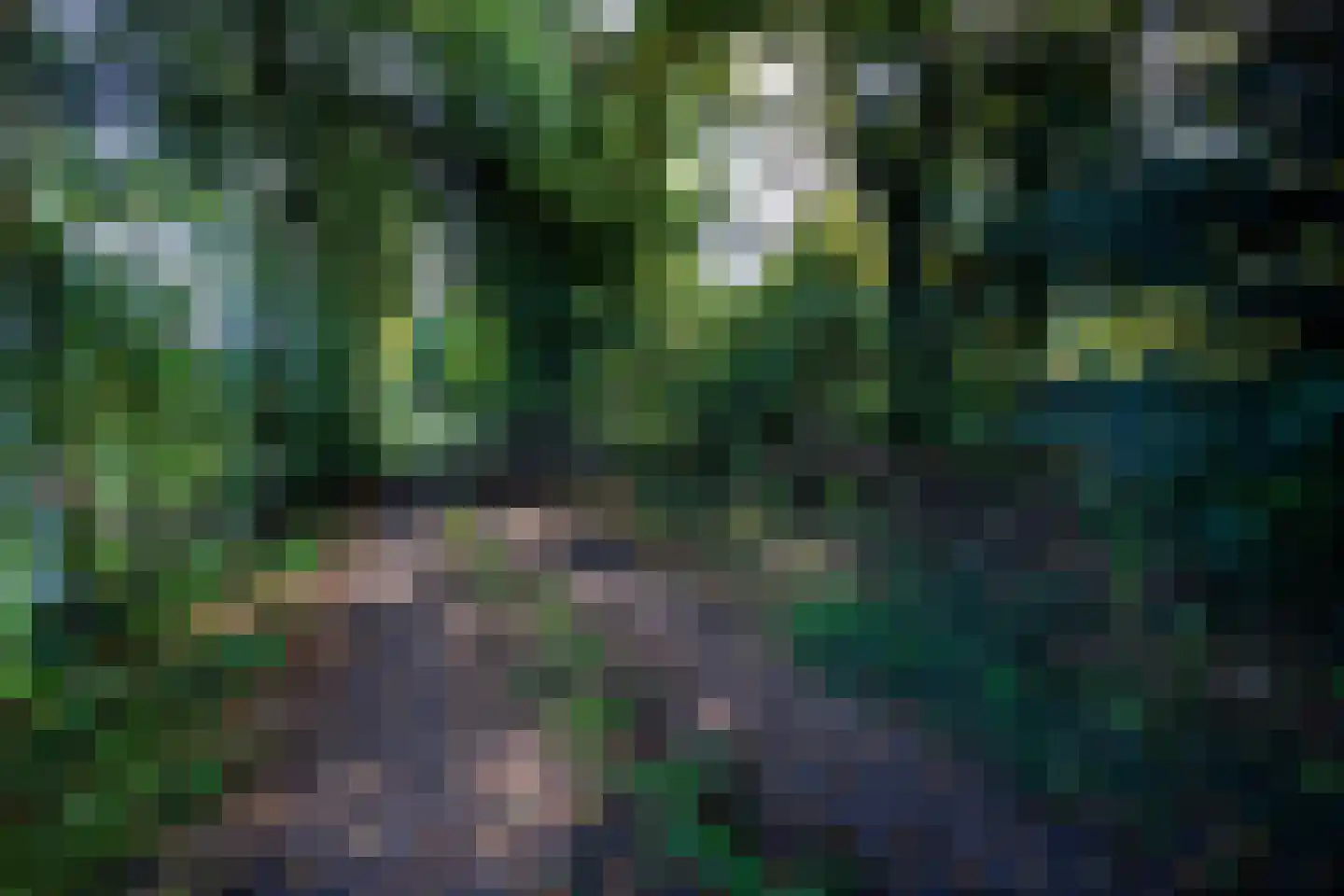 2e Dalweg 10 Vriescheloo thumbnail 6
