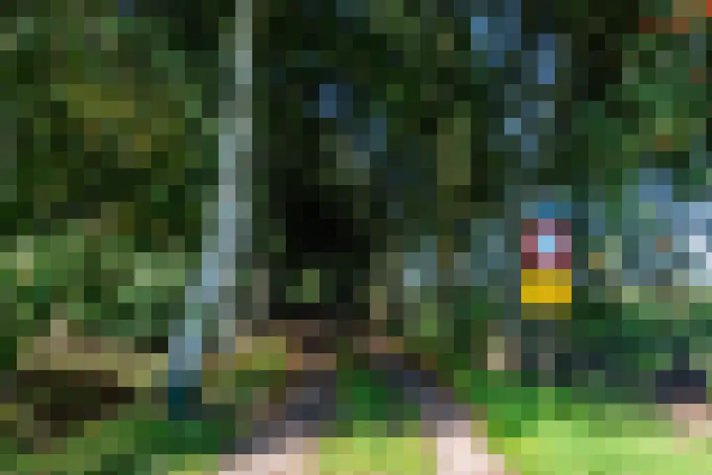 2e Dalweg 10 Vriescheloo thumbnail 7
