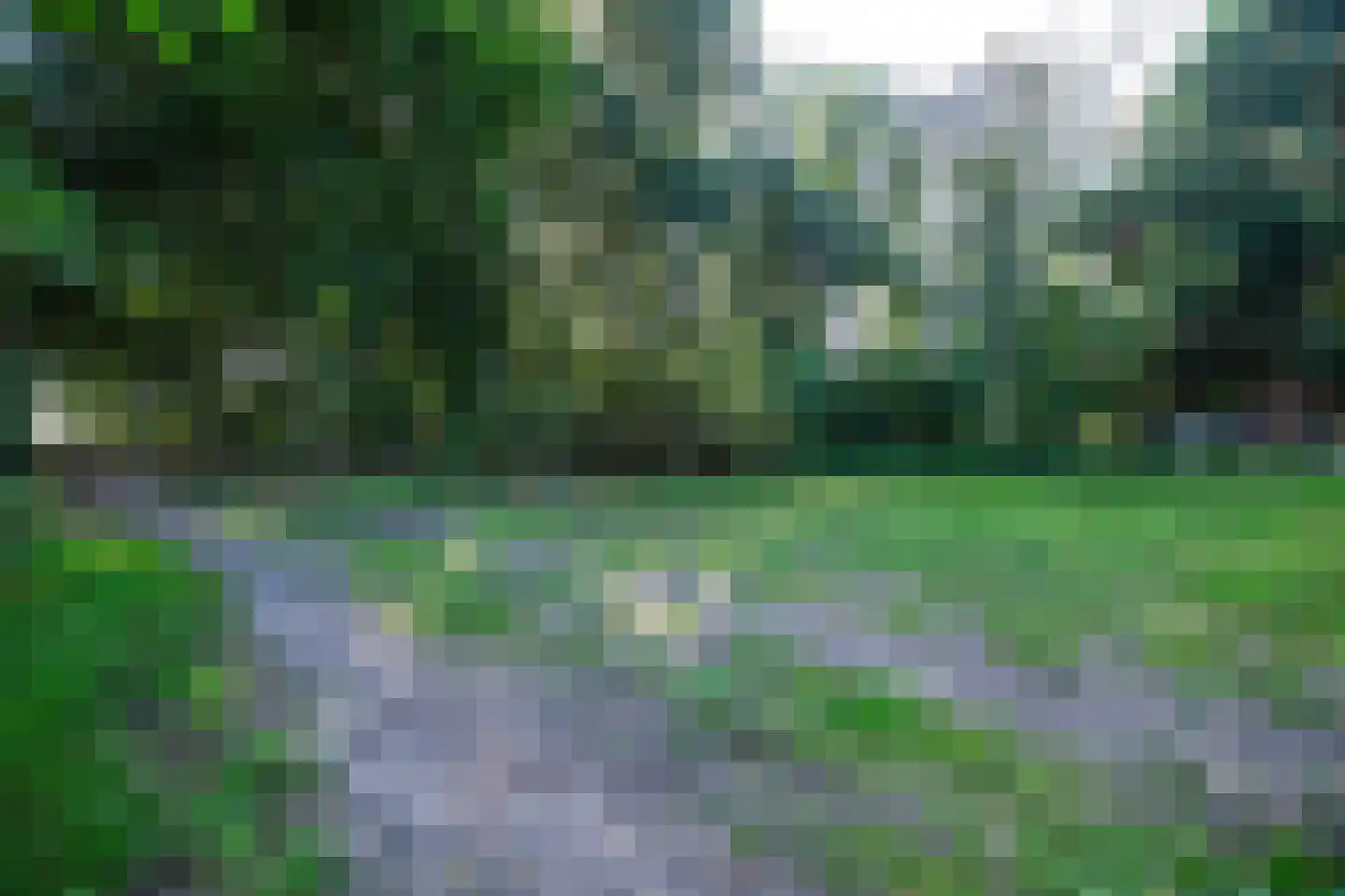 2e Dalweg 10 Vriescheloo thumbnail 8
