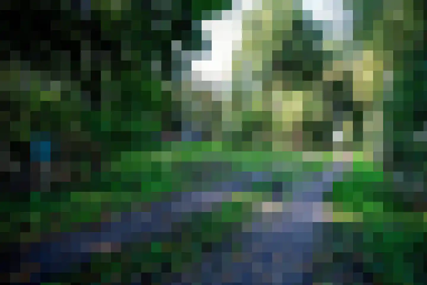 2e Dalweg 10 Vriescheloo thumbnail 9