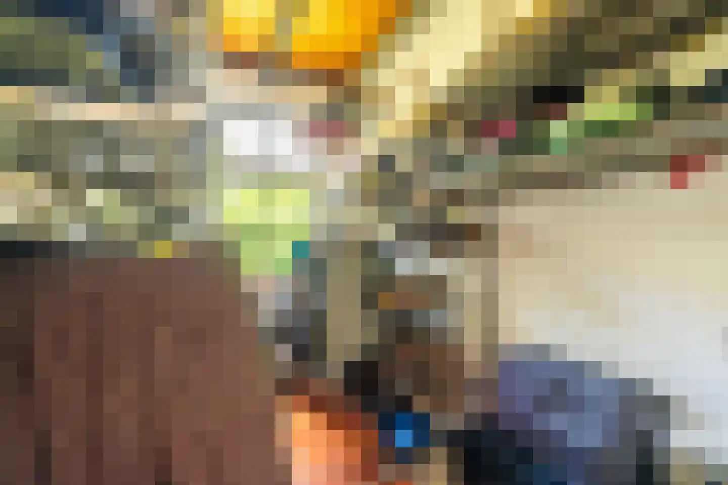 2e Dalweg 8 Vriescheloo thumbnail 15