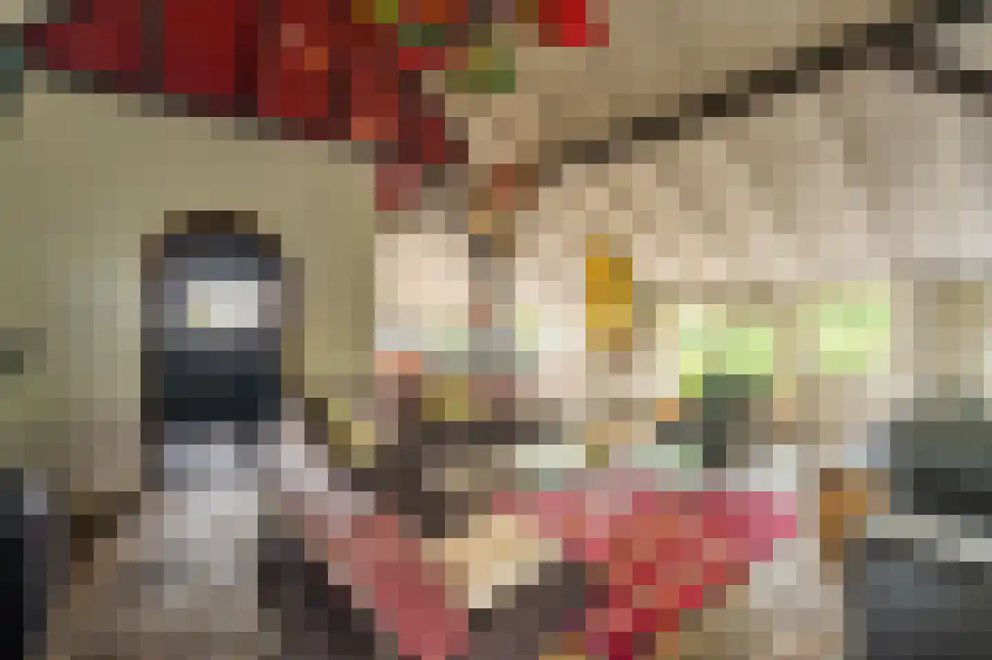 2e Dalweg 8 Vriescheloo thumbnail 18