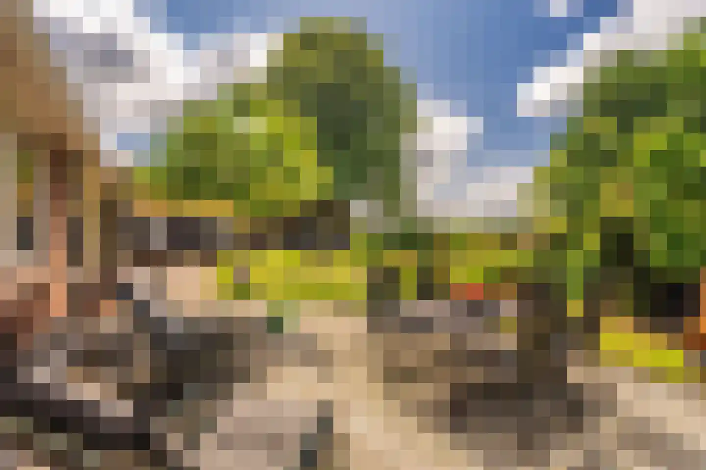 2e Dalweg 8 Vriescheloo thumbnail 28