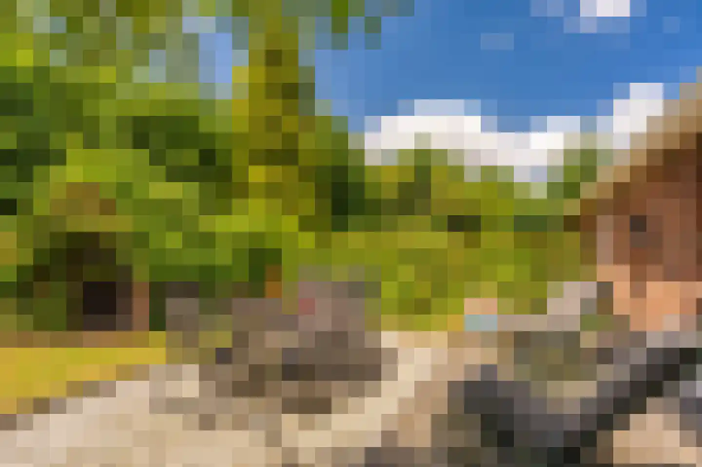 2e Dalweg 8 Vriescheloo thumbnail 29