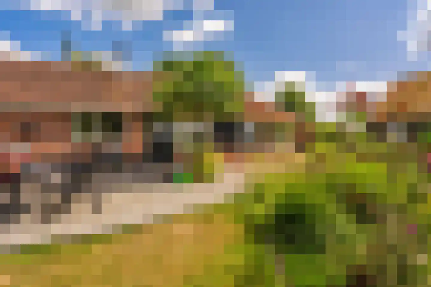 2e Dalweg 8 Vriescheloo thumbnail 30