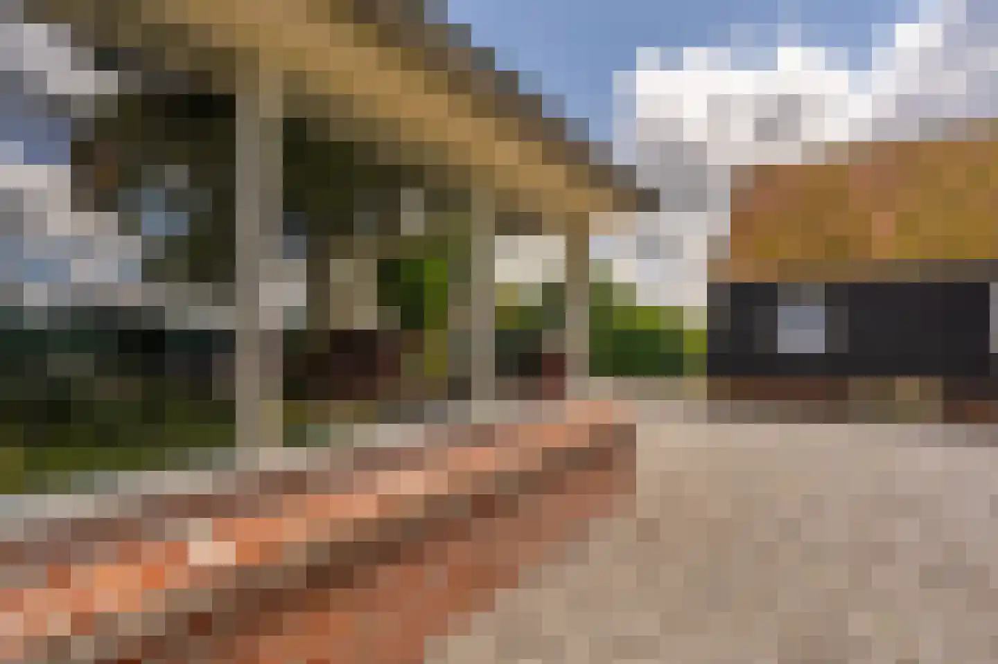 2e Dalweg 8 Vriescheloo thumbnail 31