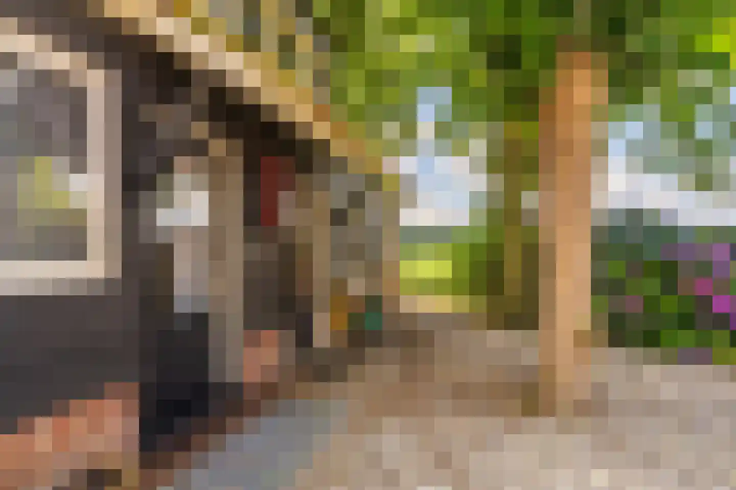 2e Dalweg 8 Vriescheloo thumbnail 33