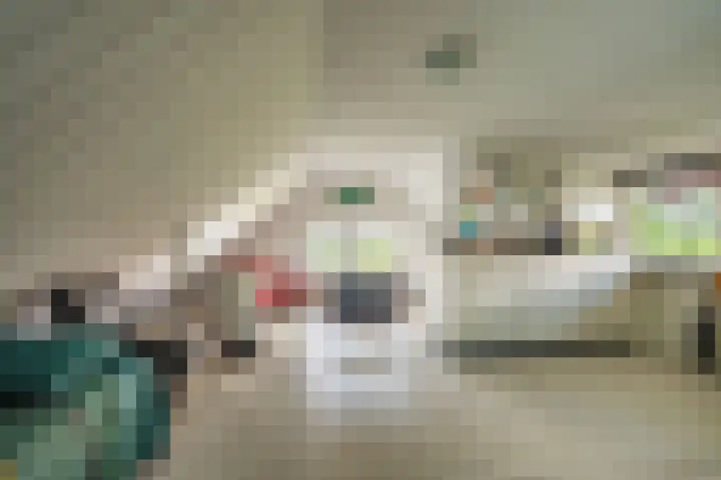 2e Dalweg 8 Vriescheloo thumbnail 34