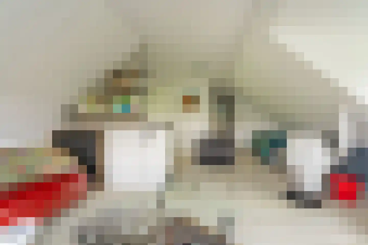 2e Dalweg 8 Vriescheloo thumbnail 36