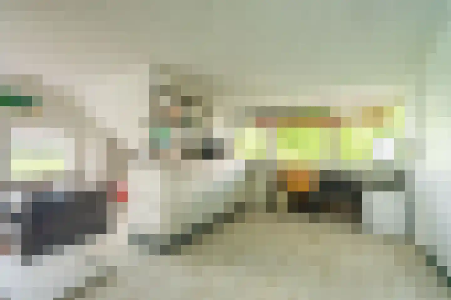 2e Dalweg 8 Vriescheloo thumbnail 37