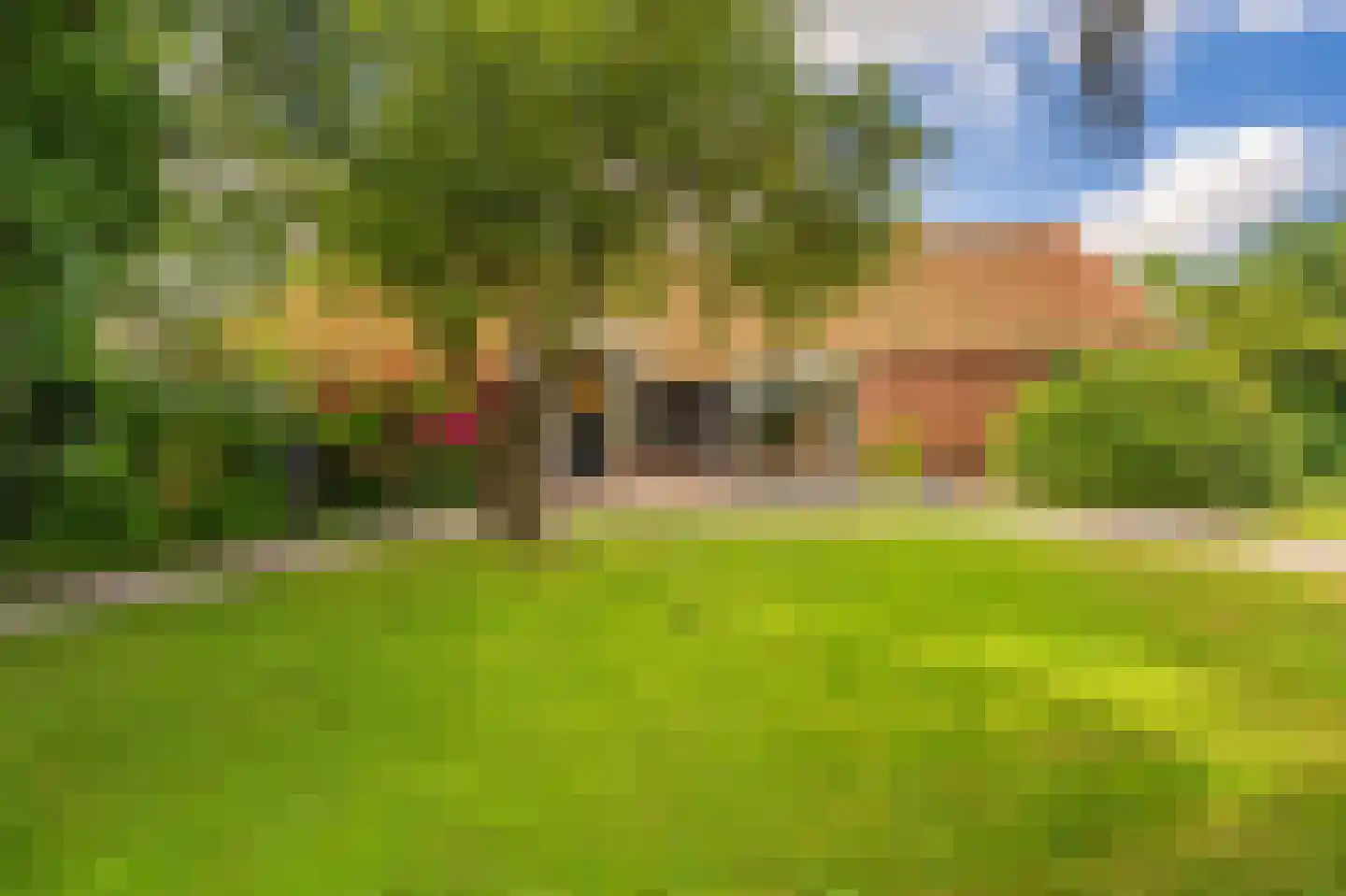 2e Dalweg 8 Vriescheloo thumbnail 4