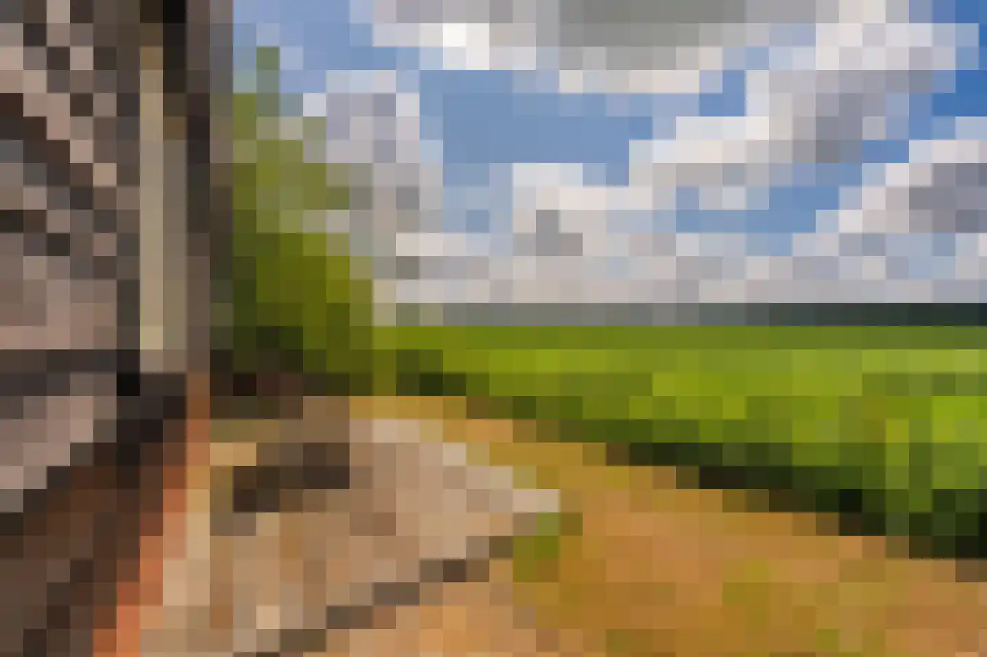 2e Dalweg 8 Vriescheloo thumbnail 41