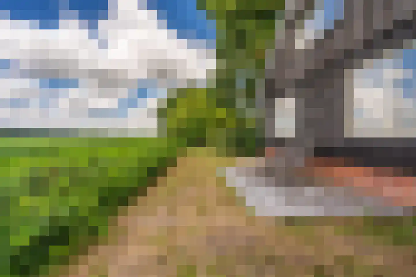 2e Dalweg 8 Vriescheloo thumbnail 42