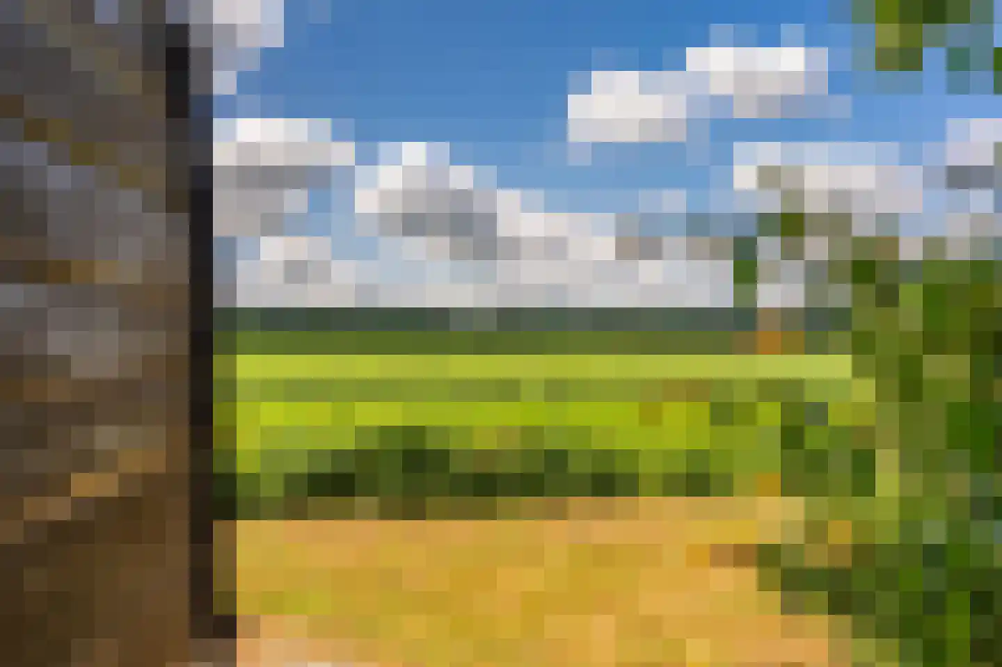 2e Dalweg 8 Vriescheloo thumbnail 43