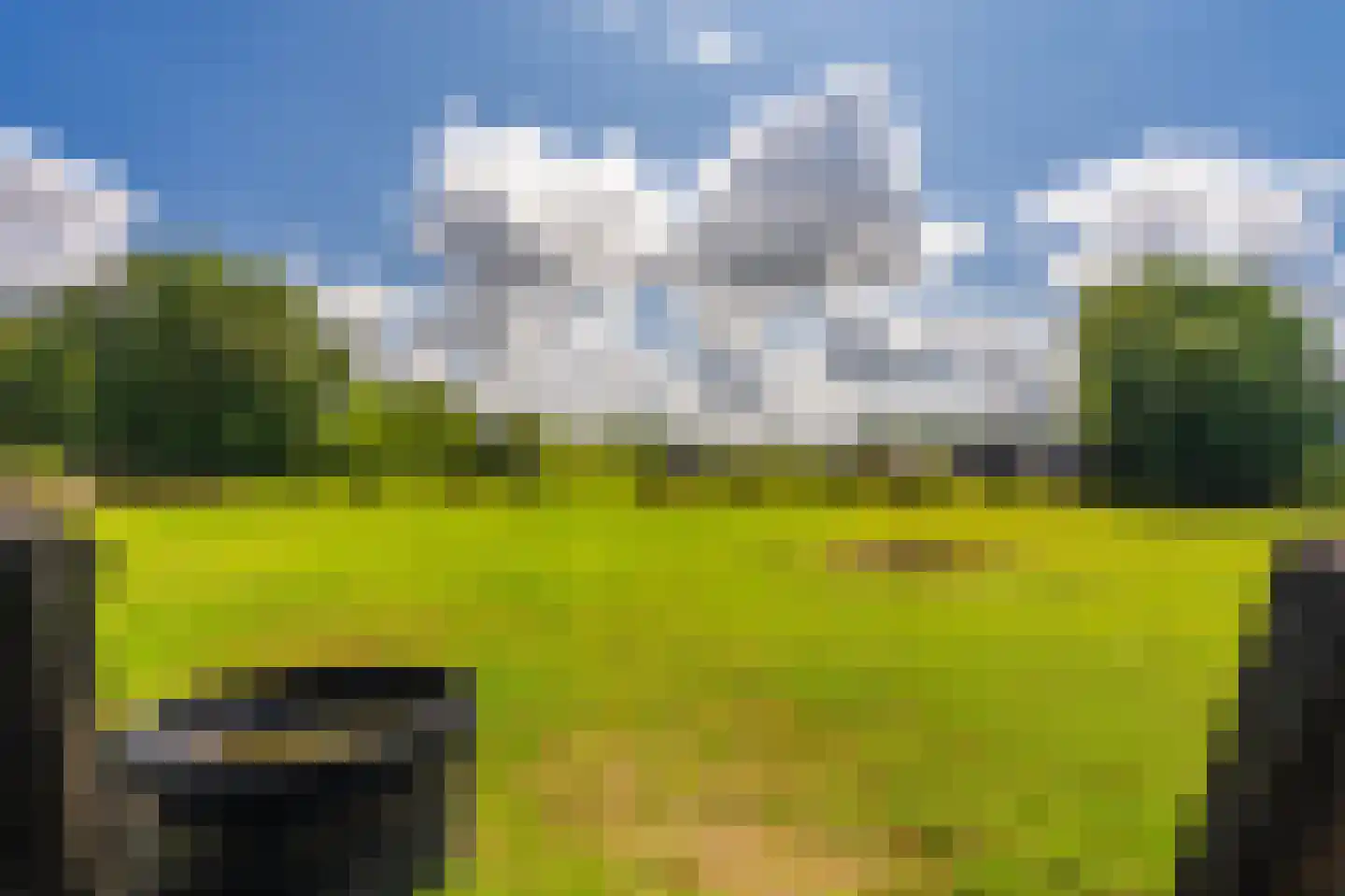 2e Dalweg 8 Vriescheloo thumbnail 44