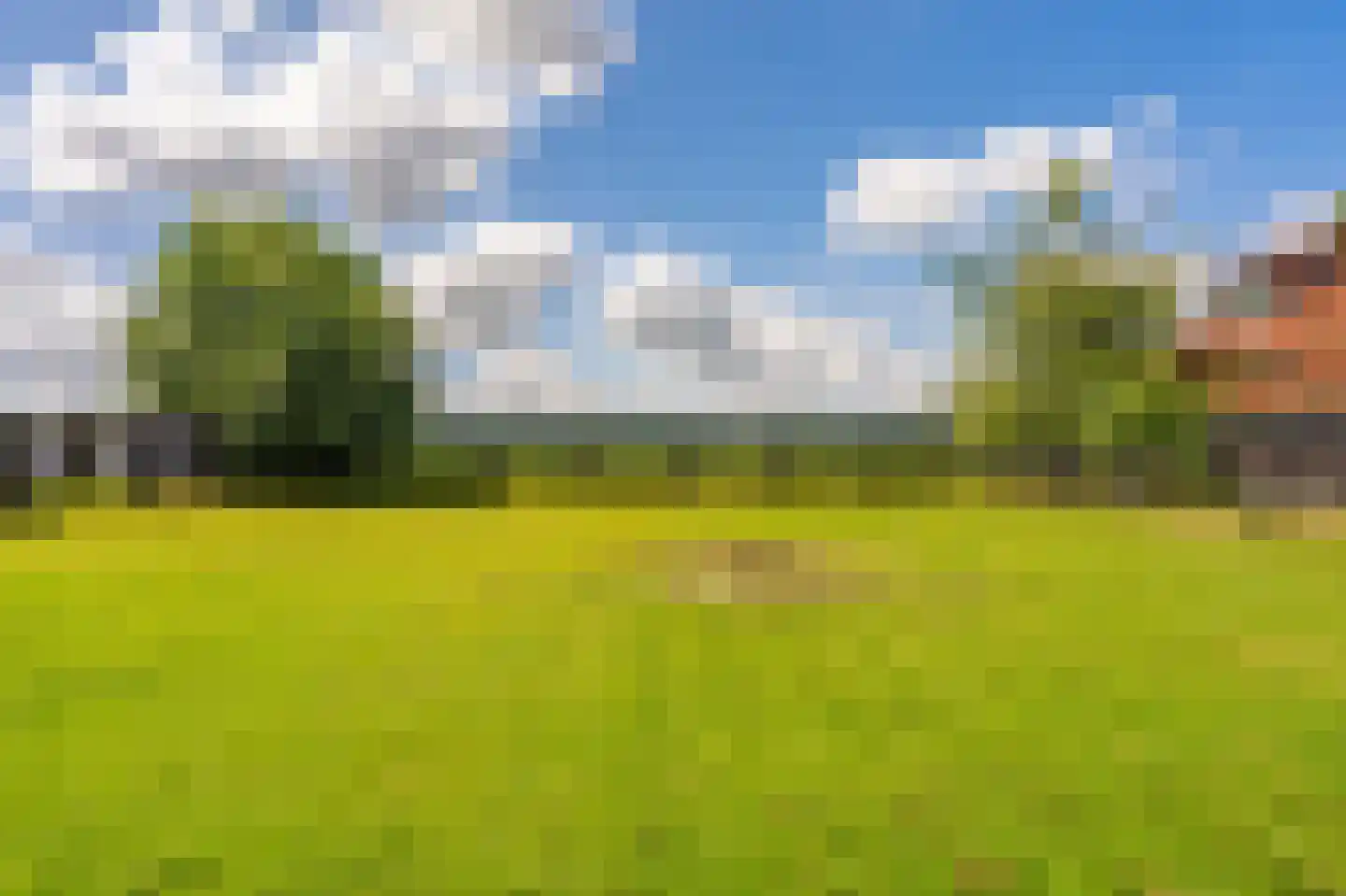 2e Dalweg 8 Vriescheloo thumbnail 45