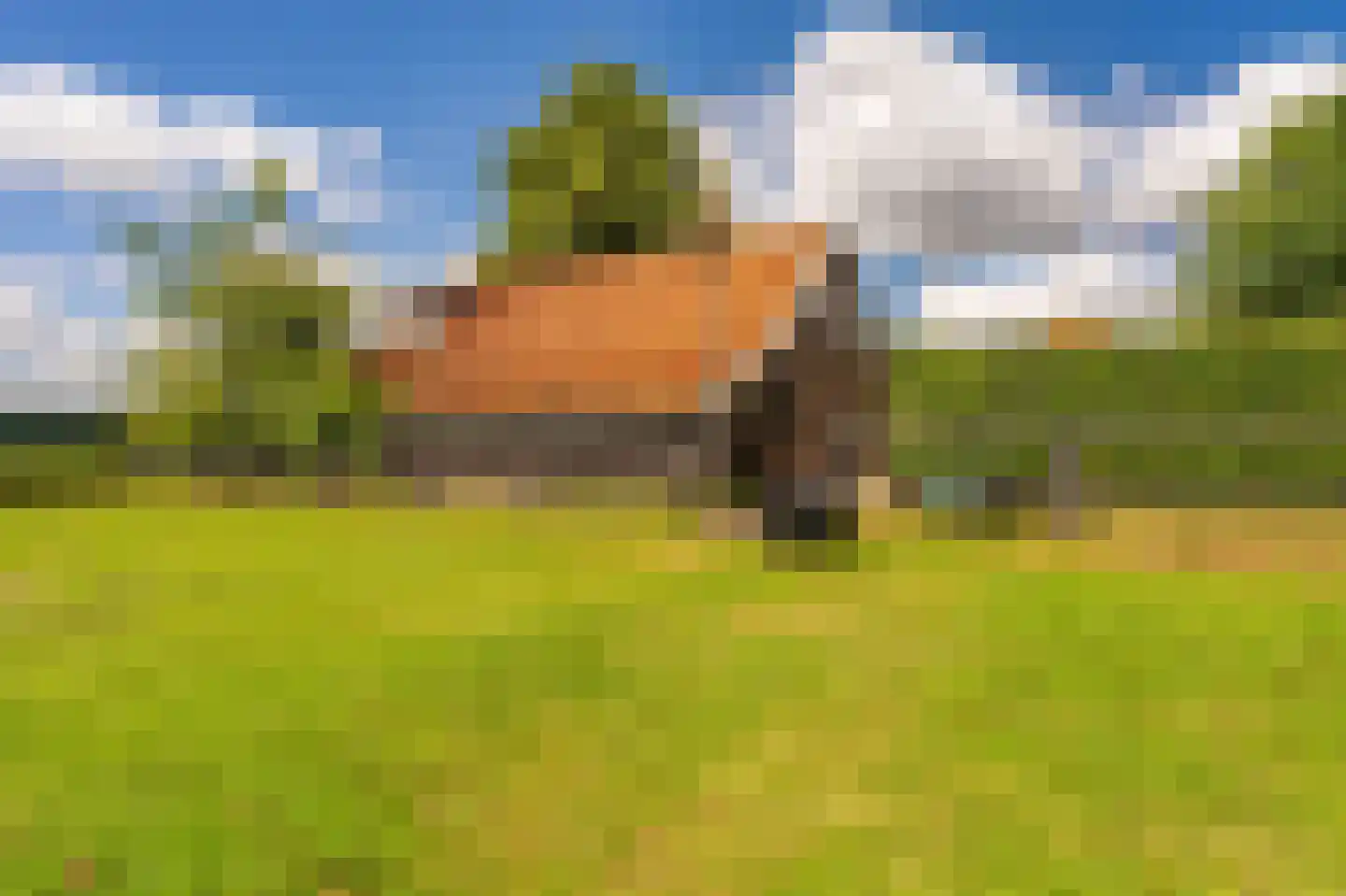 2e Dalweg 8 Vriescheloo thumbnail 46