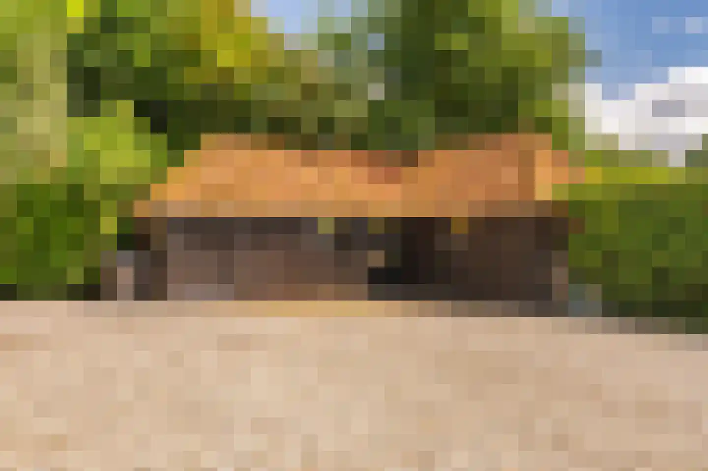 2e Dalweg 8 Vriescheloo thumbnail 47