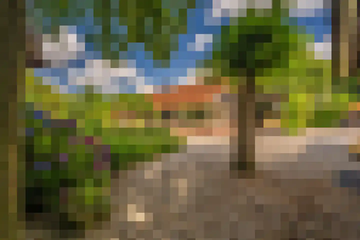 2e Dalweg 8 Vriescheloo thumbnail 48