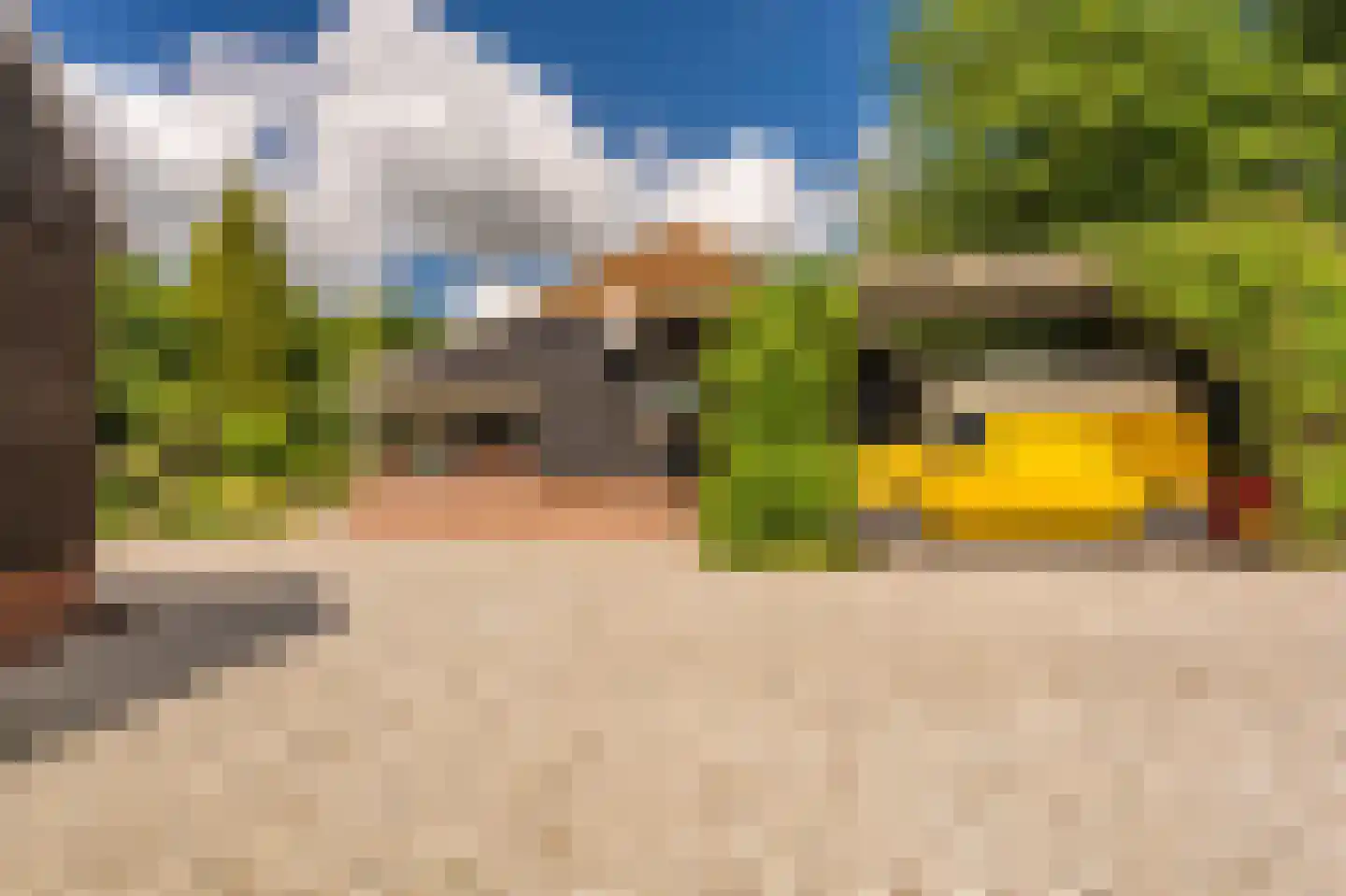 2e Dalweg 8 Vriescheloo thumbnail 49