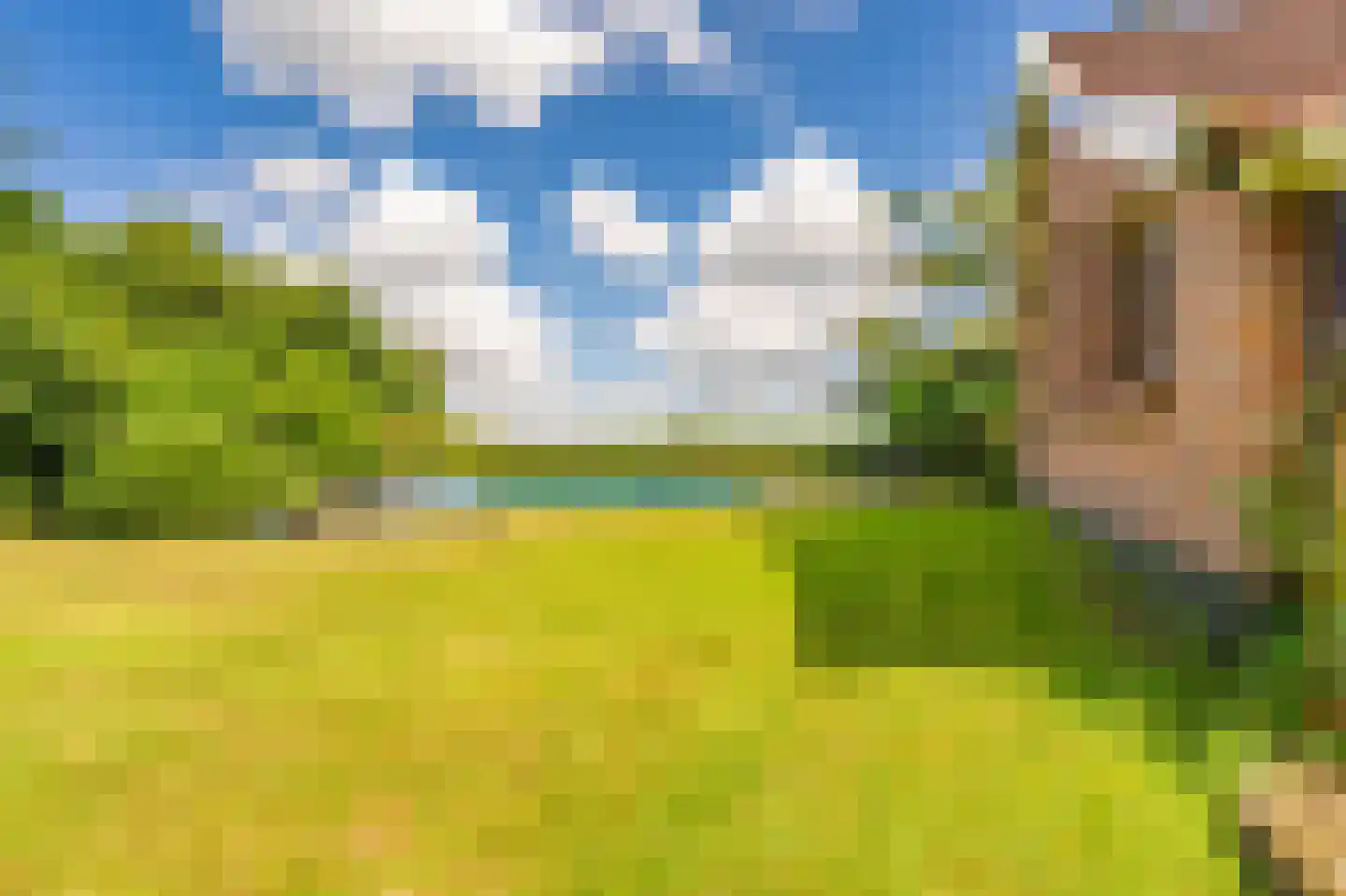 2e Dalweg 8 Vriescheloo thumbnail 51
