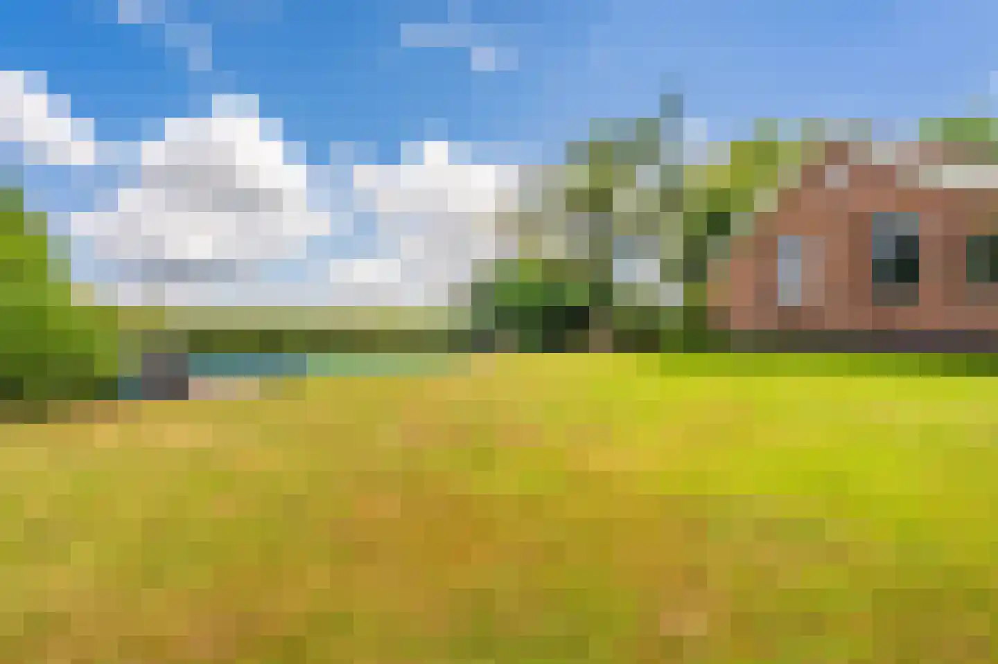 2e Dalweg 8 Vriescheloo thumbnail 52