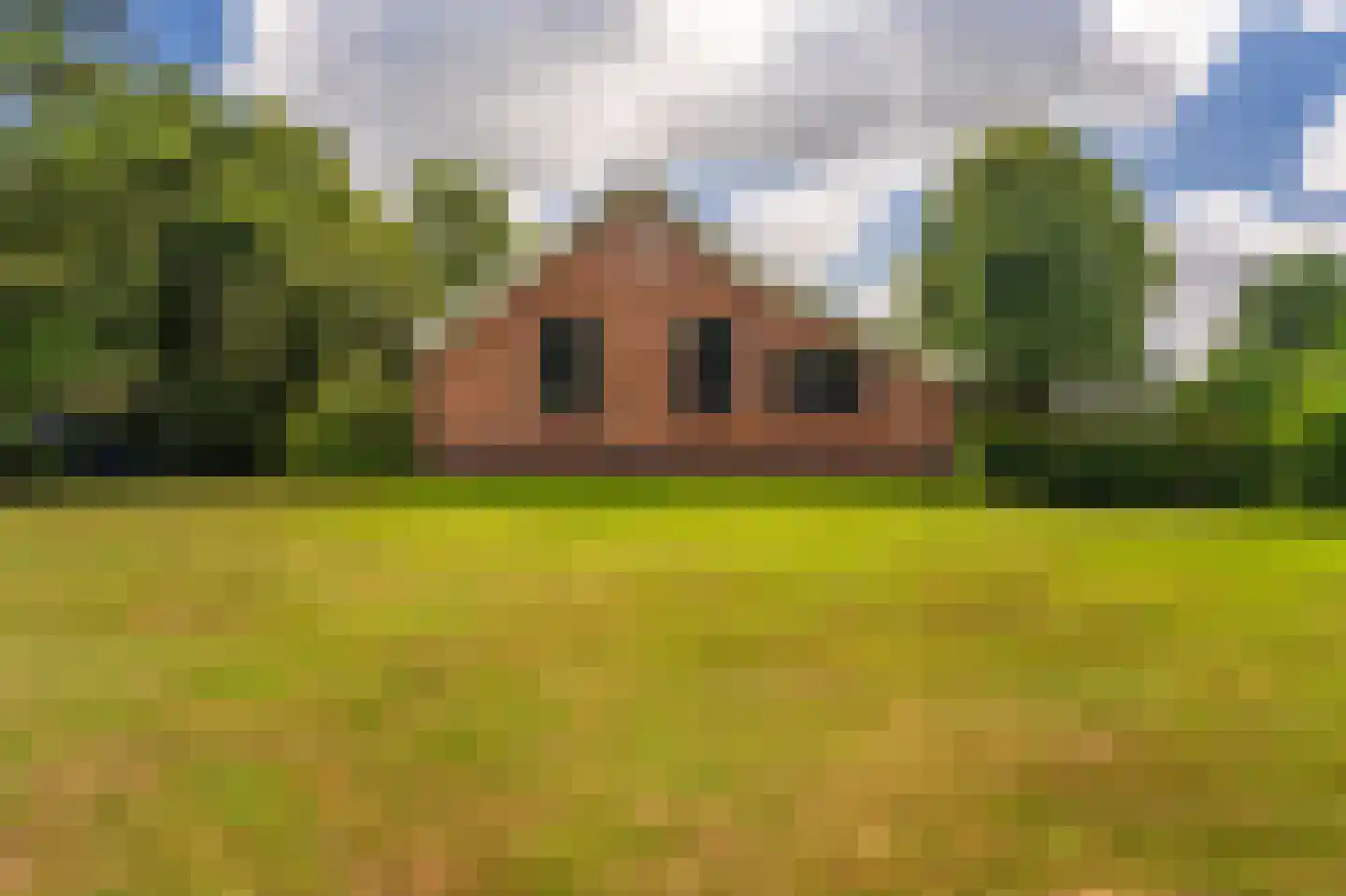 2e Dalweg 8 Vriescheloo thumbnail 56