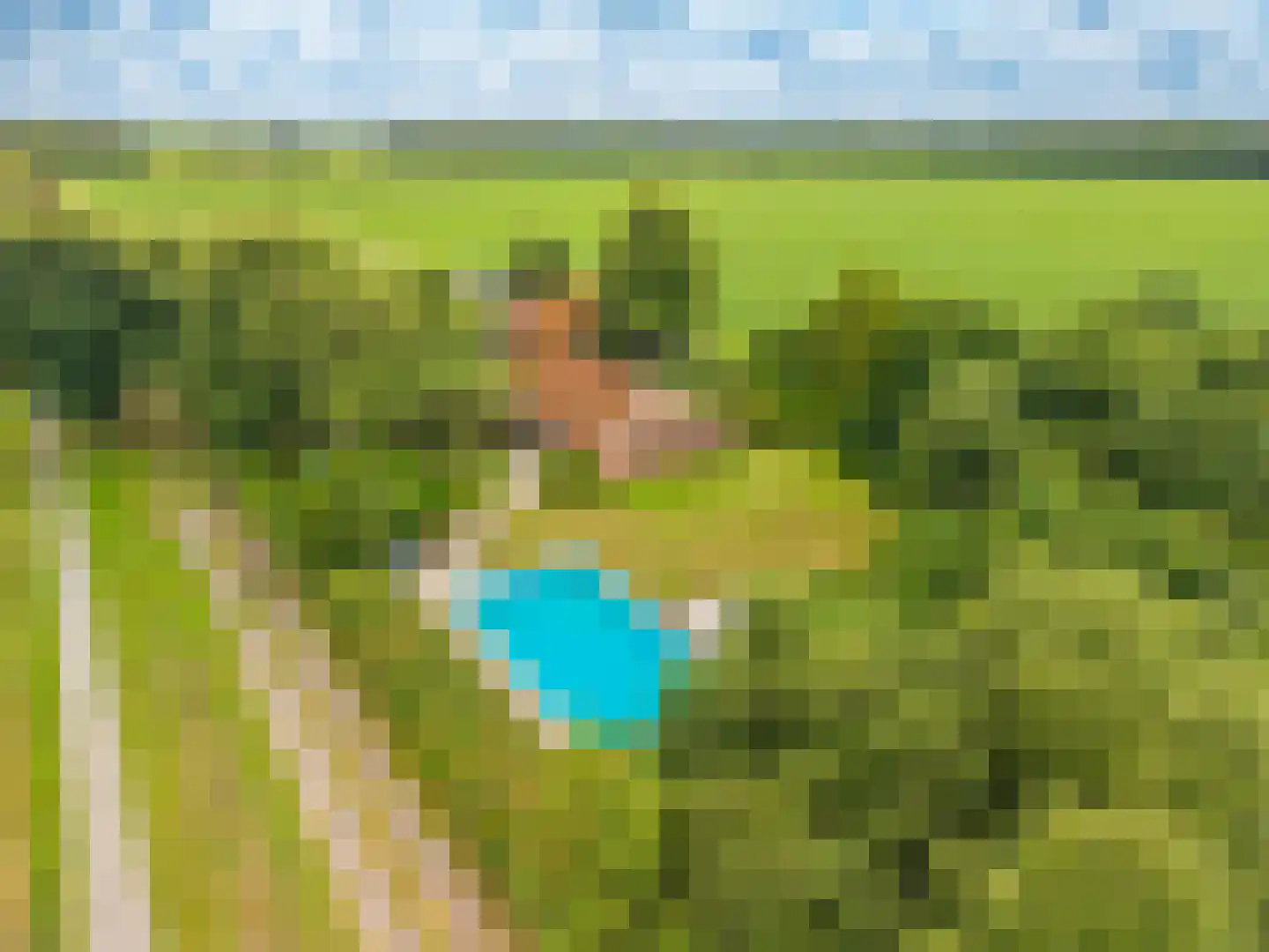 2e Dalweg 8 Vriescheloo thumbnail 58