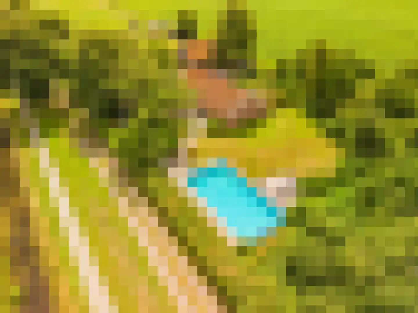 2e Dalweg 8 Vriescheloo thumbnail 59