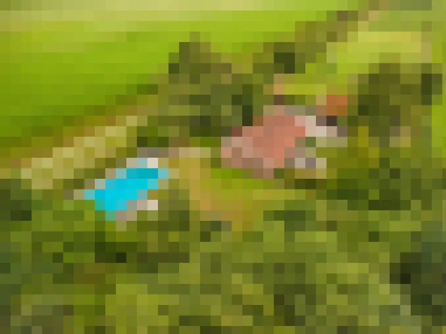 2e Dalweg 8 Vriescheloo thumbnail 60