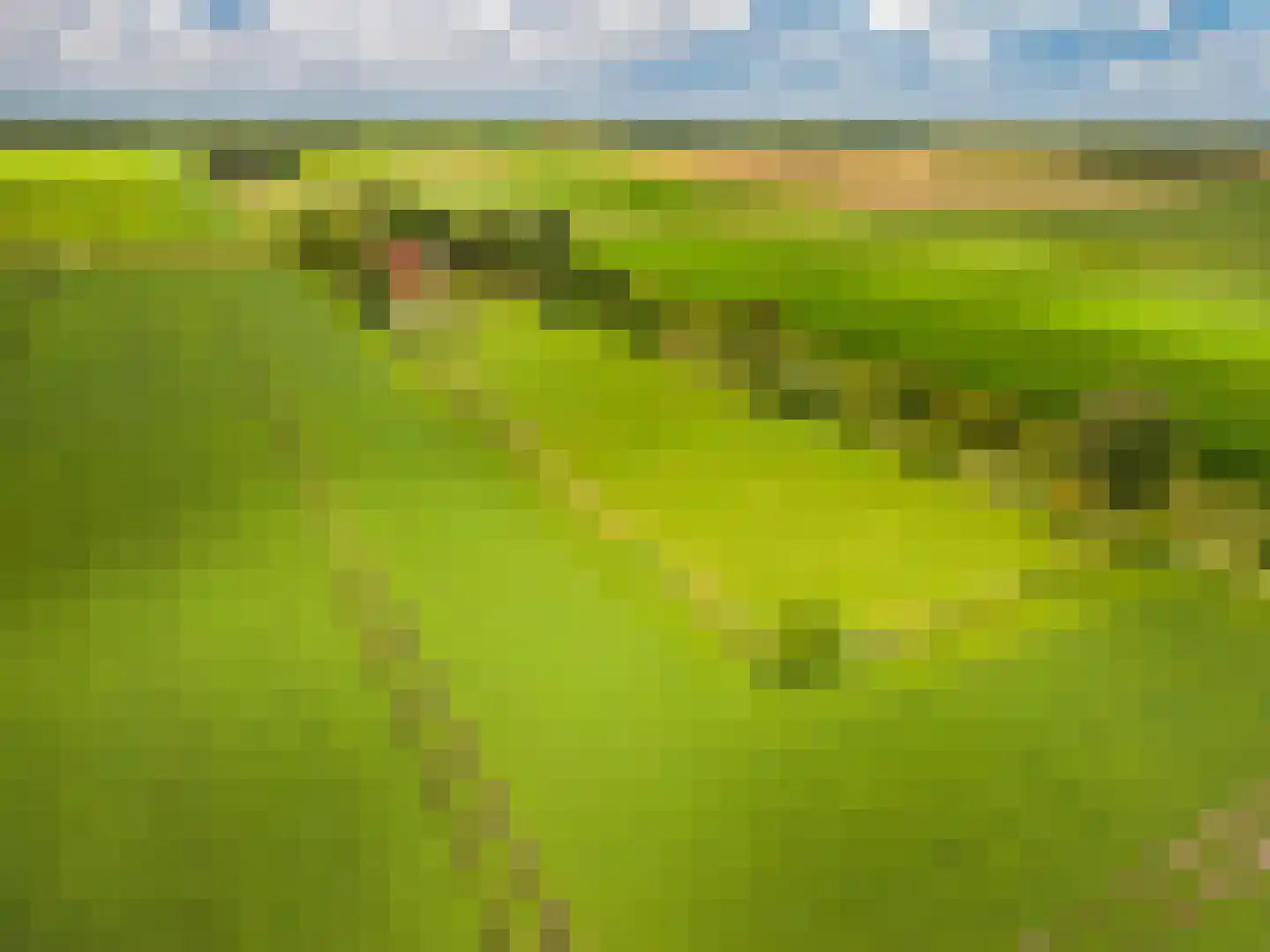 2e Dalweg 8 Vriescheloo thumbnail 63