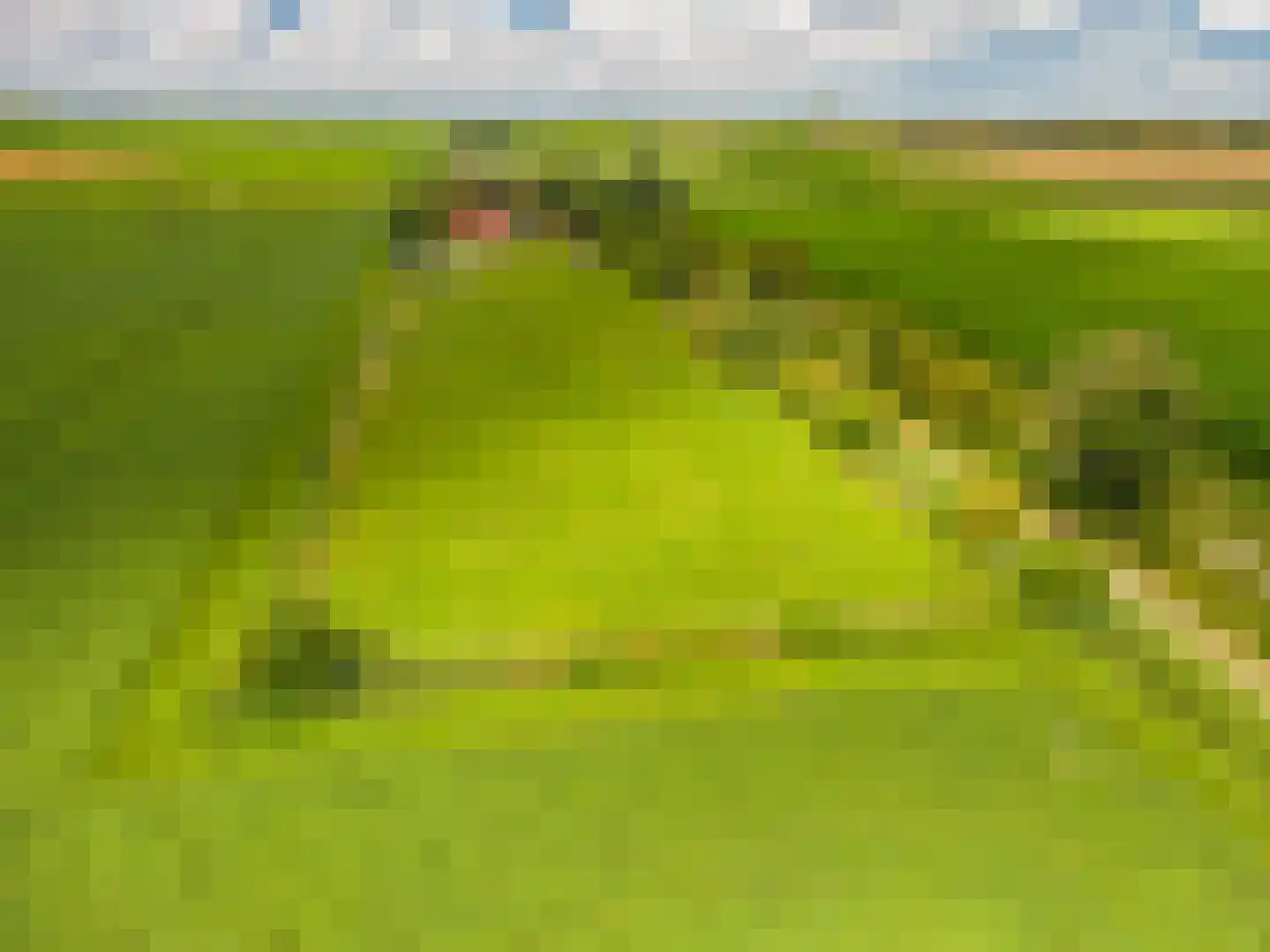 2e Dalweg 8 Vriescheloo thumbnail 64