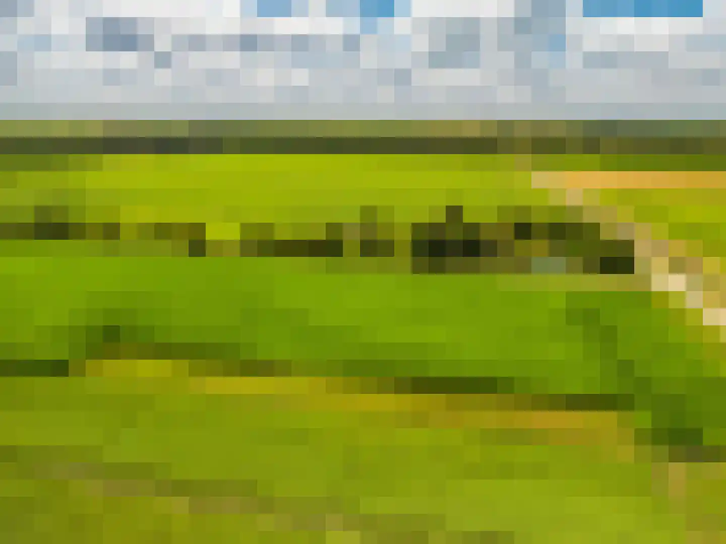 2e Dalweg 8 Vriescheloo thumbnail 65